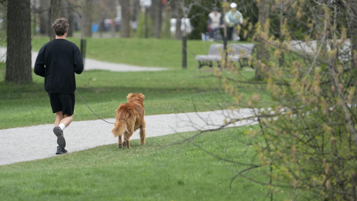 À qui appartiennent les parcs urbains?
