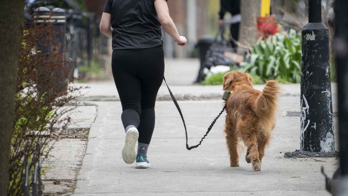 Des gens font du jogging avec leur chien dans le parc adjacent au Stade olympique de Montréal. 