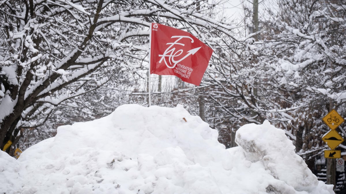 Un drapeau de la FAE planté sur un monticule neigeux.