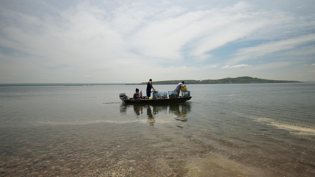 Perley Caplin, Jonathan Barnaby et Paige Caplin à bord d'un bateau avec des casiers à homards.