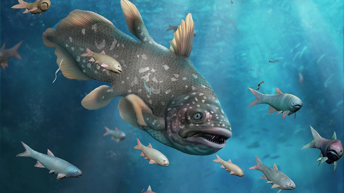 Illustration d'une faune marine ancienne, vue sous l'eau.