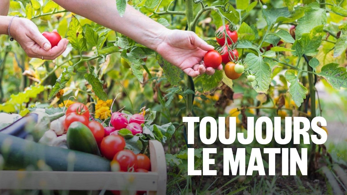 C’est l’heure de jardiner pour MC Gilles