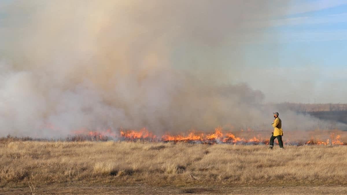 Brûlages dirigés dans la région de Saskatoon
