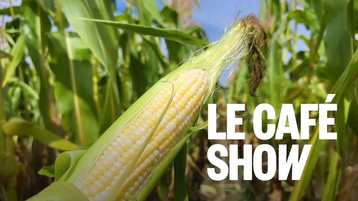 Des fermes de l’Alberta vous ouvrent leurs portes
