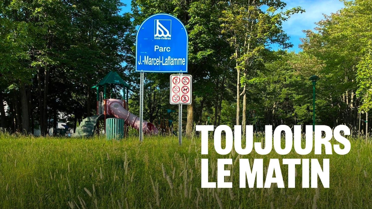 Le maire s’excuse des pelouses mal entretenues à Trois-Rivières