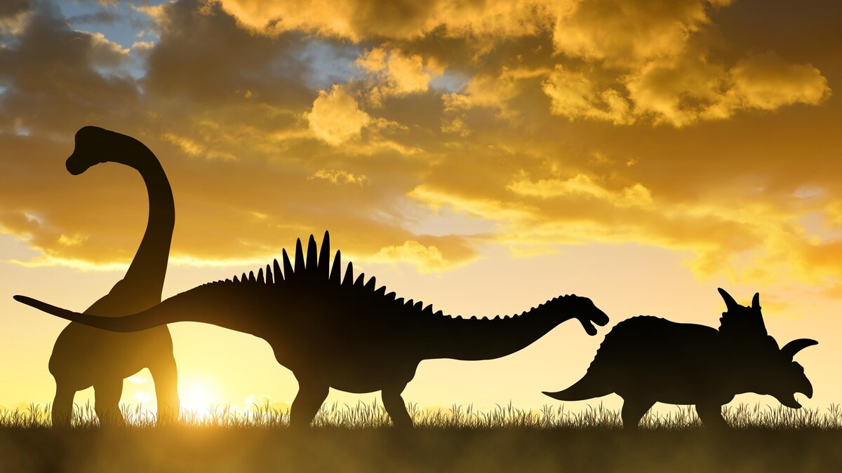 Des scientifiques ont résolu le mystère de ce dinosaure extraordinaire