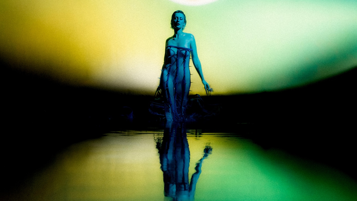 Insula de Virginie B.