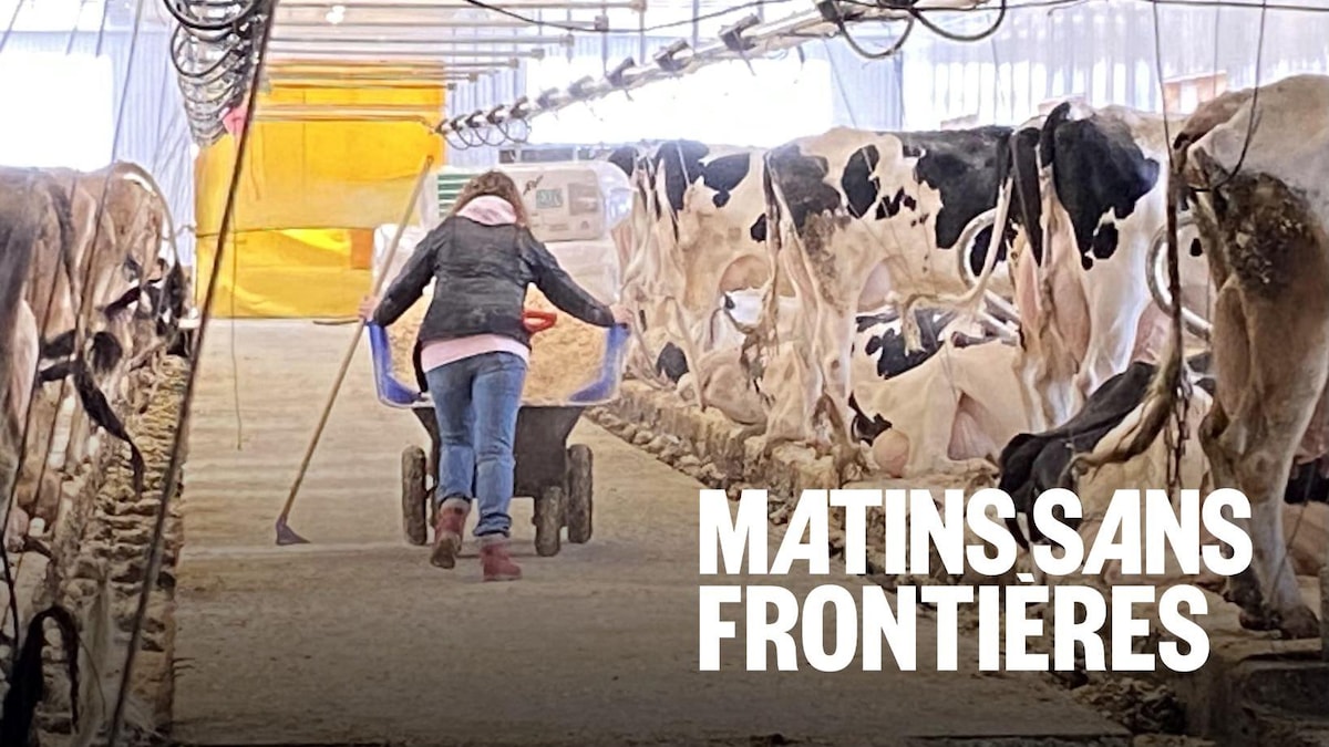 Le travail des agricultrices trop souvent dévalorisé