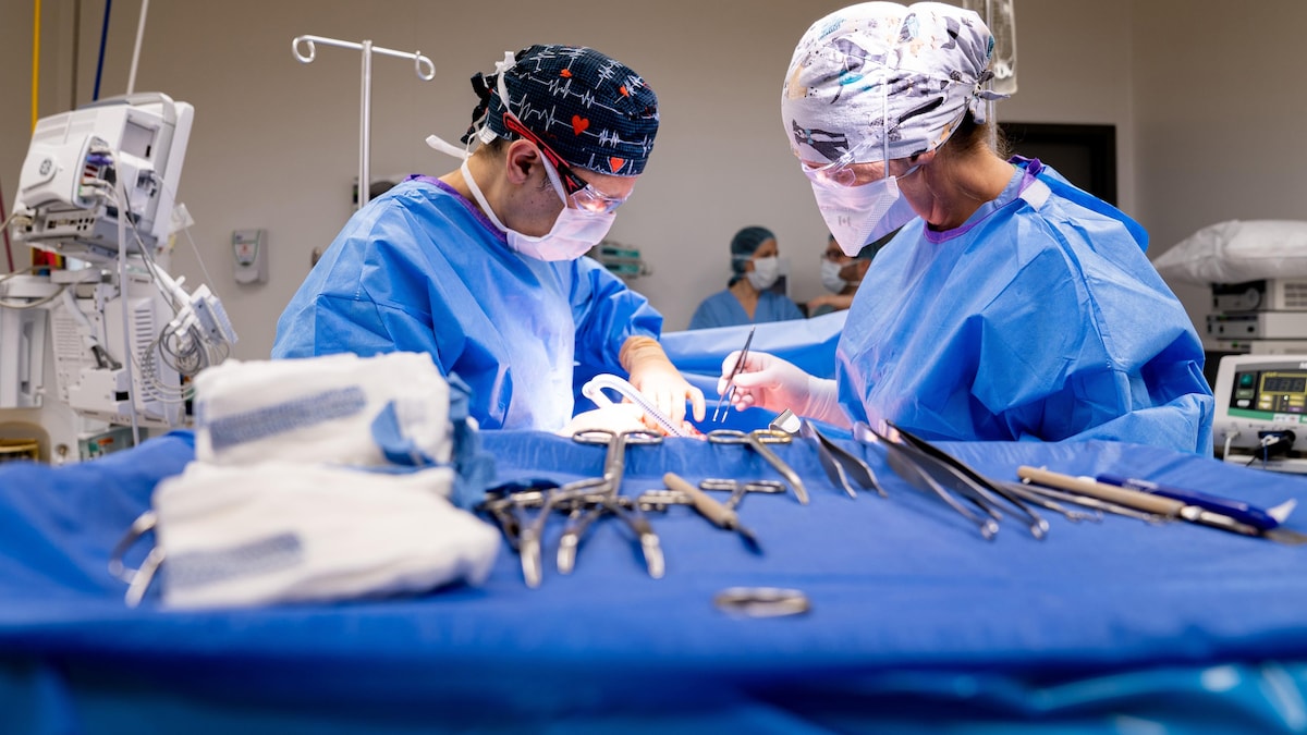 Le Dr Jacques Haddad effectue une abdominoplastie sur une patiente.