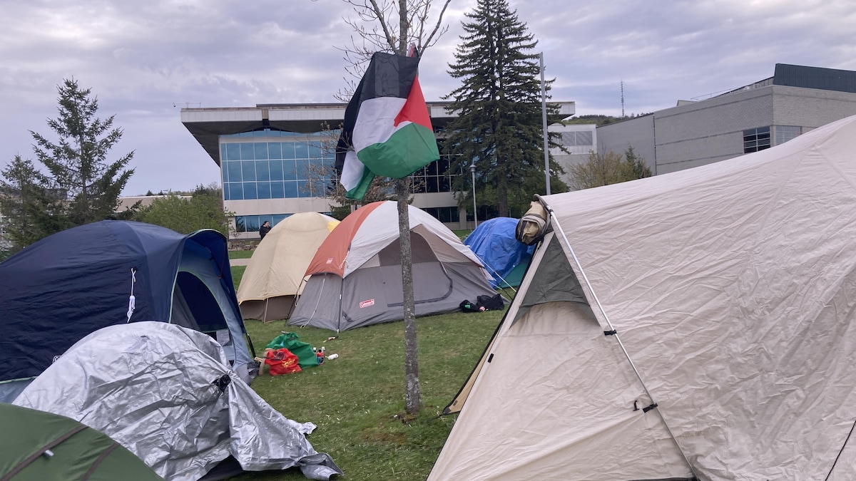 Un campement. Un drapeau de la Palestine est accroché sur un arbre parmi les tentes.