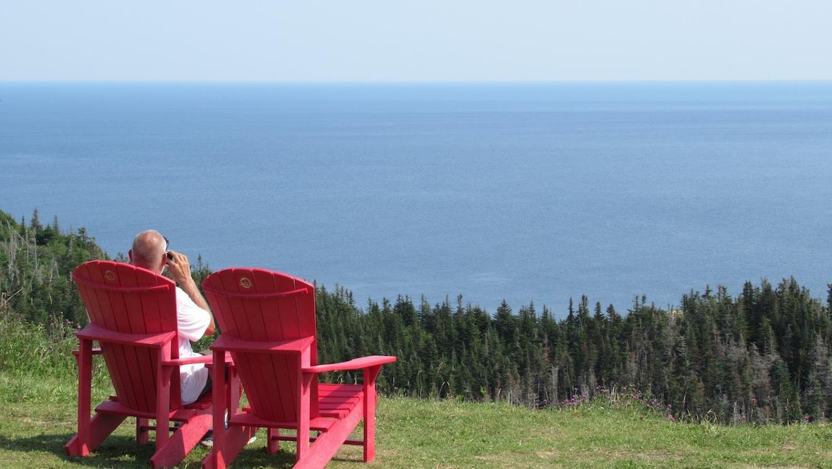 Un touriste observe la mer du haut de Cap-Gaspé assis sur une chaise rouge.
