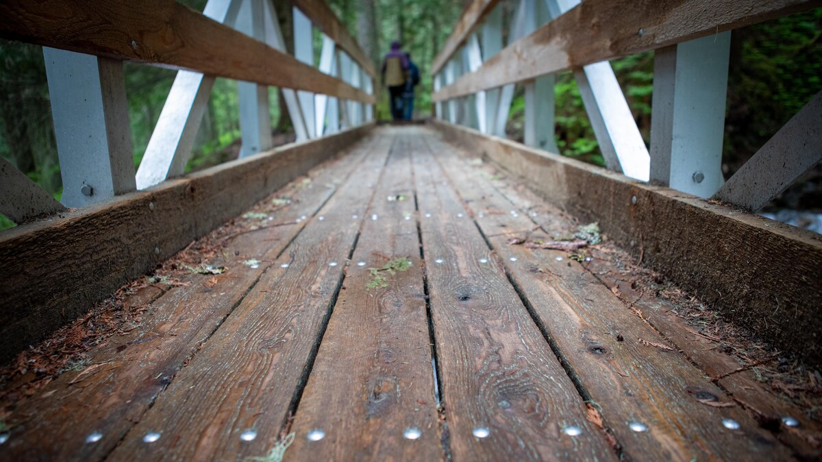 Un pont de bois au milieu de la forêt, avec des gens à l'autre bout, dans le parc de Chun T'oh Whudujut en Colombie-Britannique, en juin 2022.