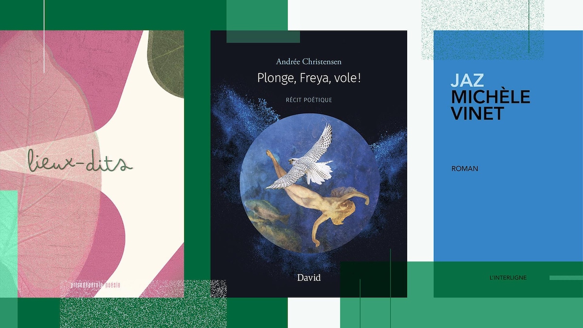 Montage des couvertures de «Lieux-dits» d'Édition Prise de Parole, «Plonge, Freya, vole!» d’Andrée Christensen et «Jaz» de Michèle Vinet.
