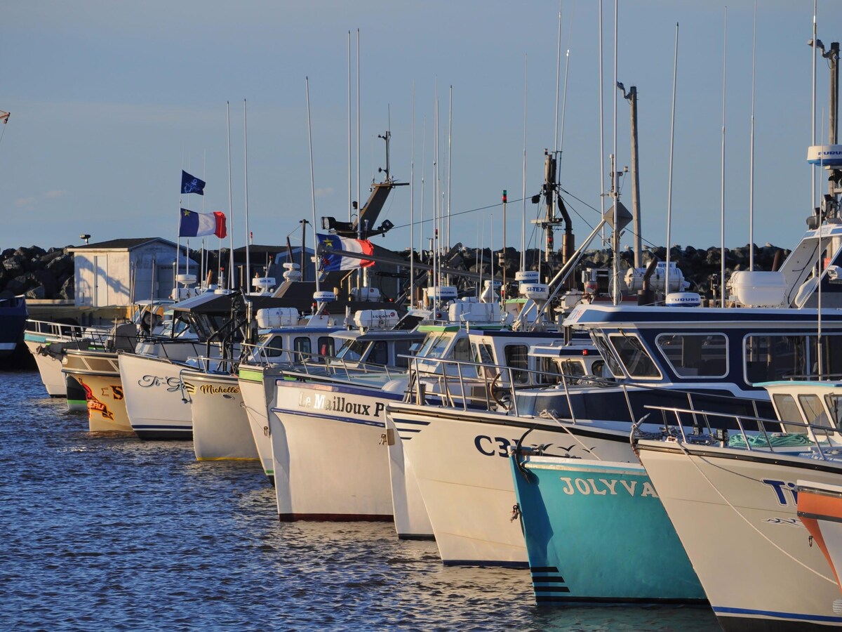 Fin de la pêche au homard dans la zone 23, une saison à oublier