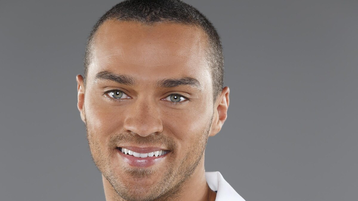 Dr Jackson Avery Jesse Williams Dre Grey, leçons d'anatomie