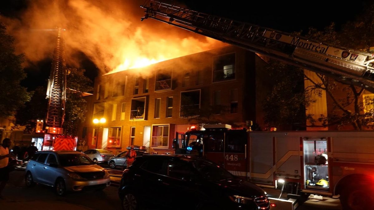 Des flammes intenses ravagent le toit et les terrasses de bois de la copropriété du quartier Hochelaga-Maisonneuve.