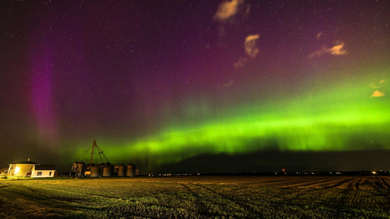 Des aurores boréales vues d'un champ agricole.