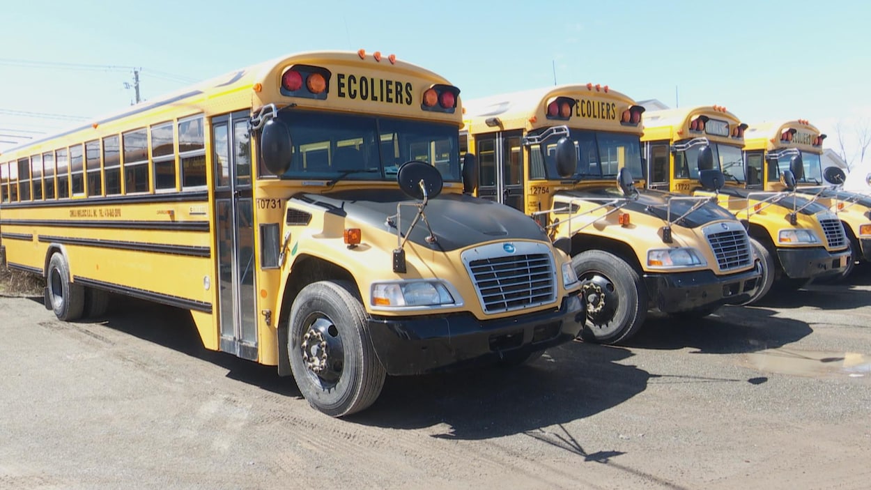 Les Chauffeurs De Bus Scolaires Prets A Reprendre Leurs Trajets En Mode Covid 19 Coronavirus Radio Canada Ca
