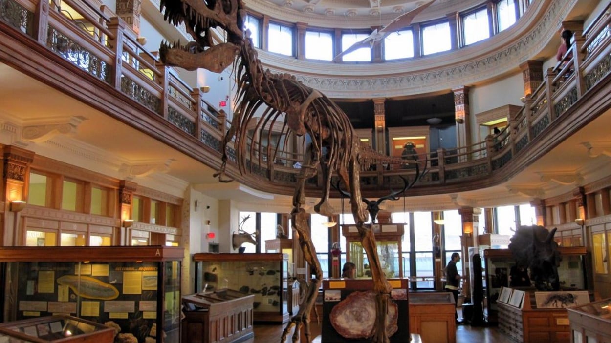 Une sortie familiale amusante au Musée Redpath