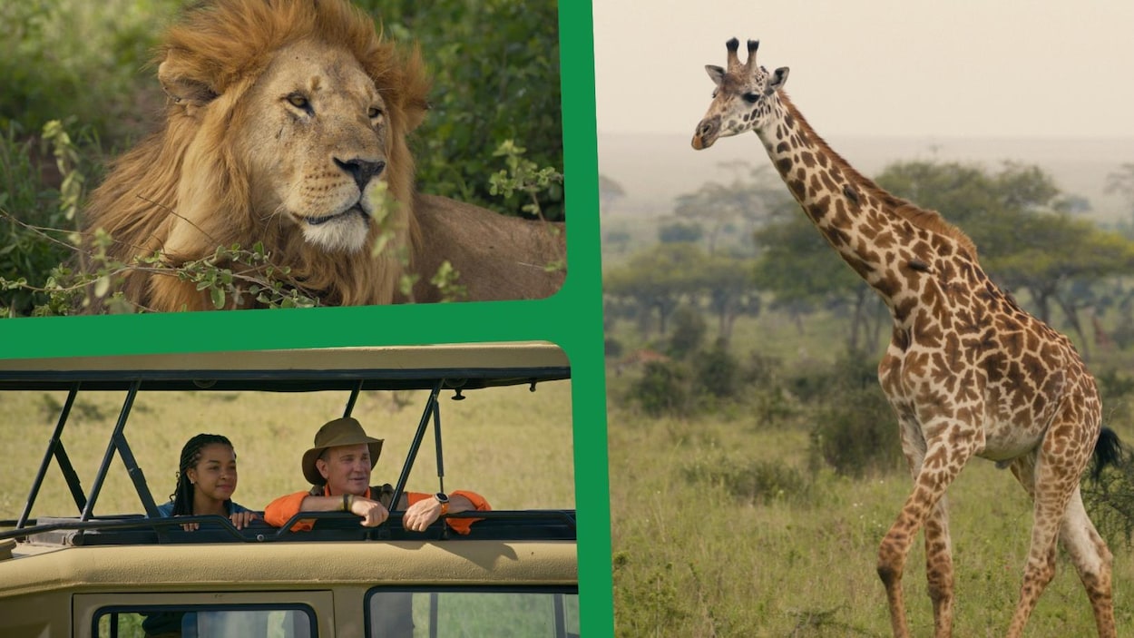 Voyage en Tanzanie avec Arthur L’aventurier et les africanimaux