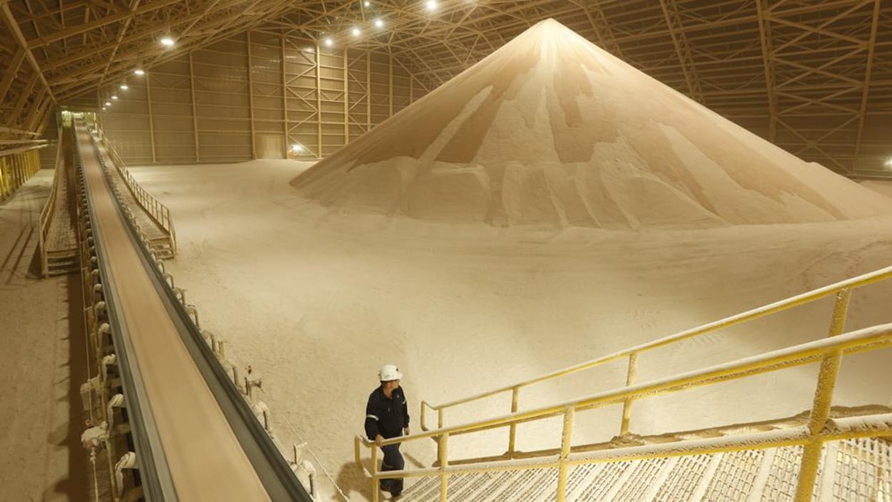 Un homme regarde un tas qui ressemble à du sable dans un énorme hangar.