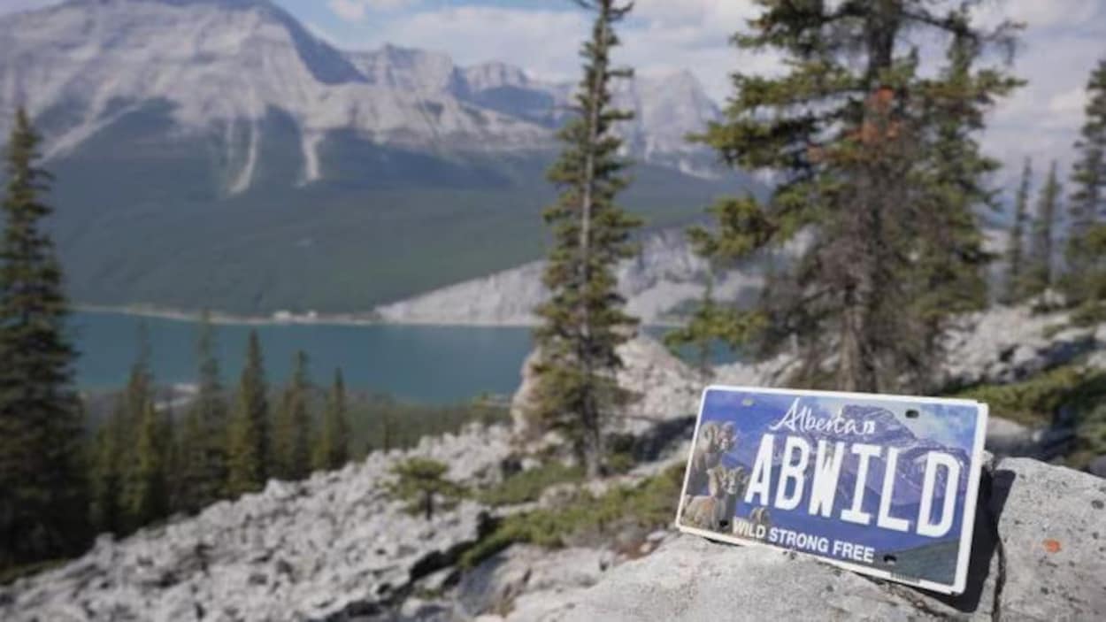 Une plaque d’immatriculation albertaine au profit de l’environnement