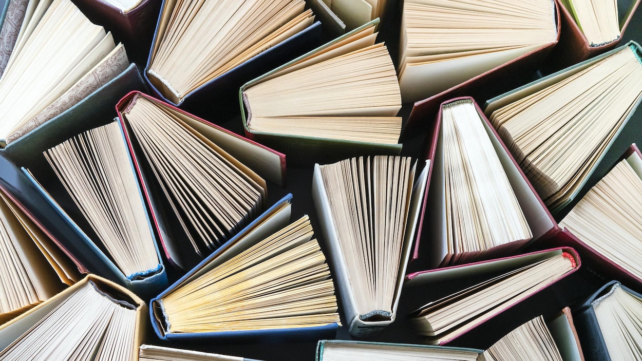 Les livres en français les plus empruntés en Colombie-Britannique
