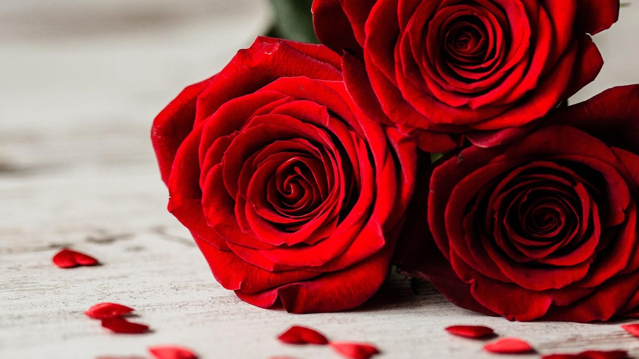 Des roses déposées sur une table près de petits cœurs décoratifs.