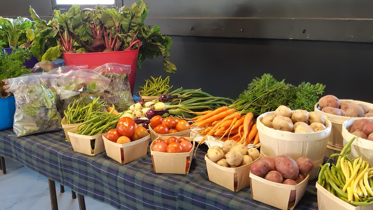 Légumes sur une table. Légumes sur une table.
