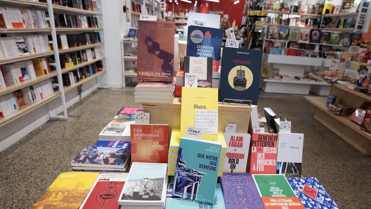 Des millions de livres détruits pour alimenter l’IA