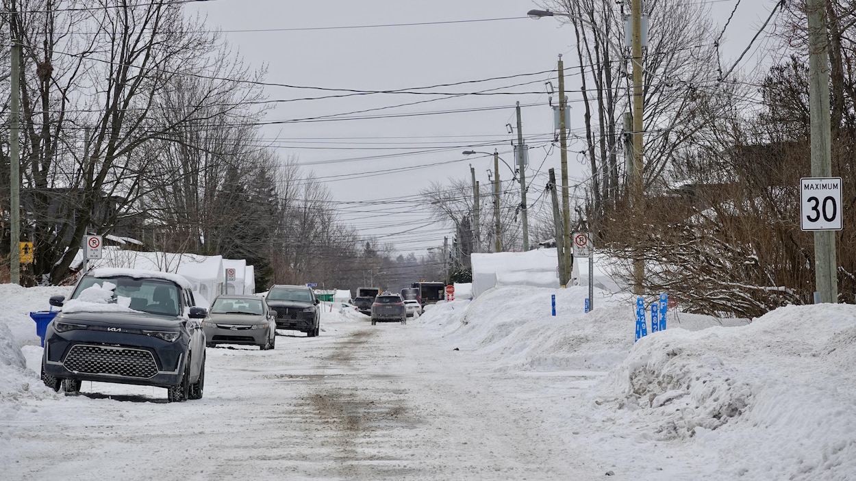 Plusieurs perquisitions sur la Rive-Sud de Montréal en lien avec la mort de Nooran Rezayi