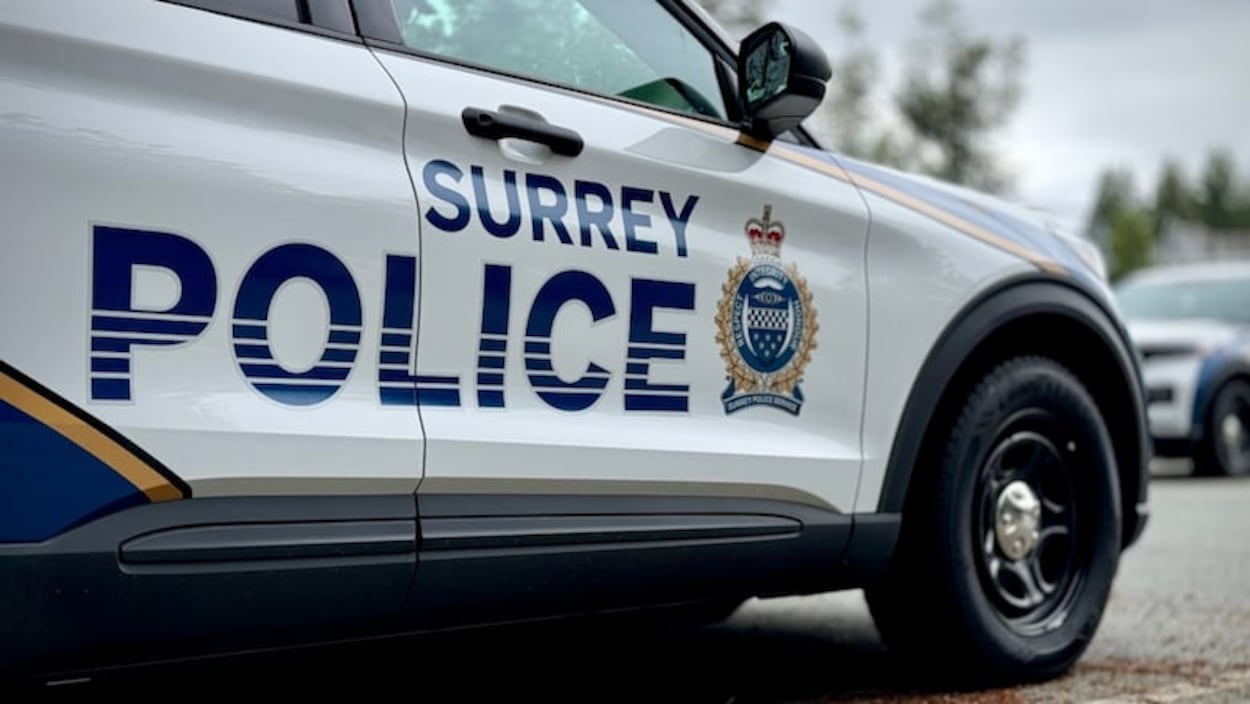 Deux nouvelles arrestations pour extorsion à Surrey