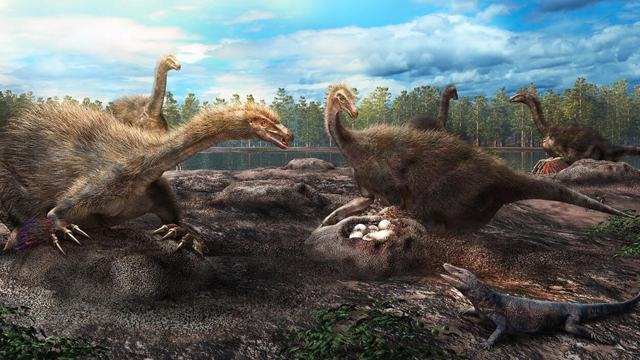 Un dessin imaginant le site de ponte trouvé dans le désert de Gobi. Cinq dinosaures couvent et protègent des nids dans lesquels se trouvent des oeufs.