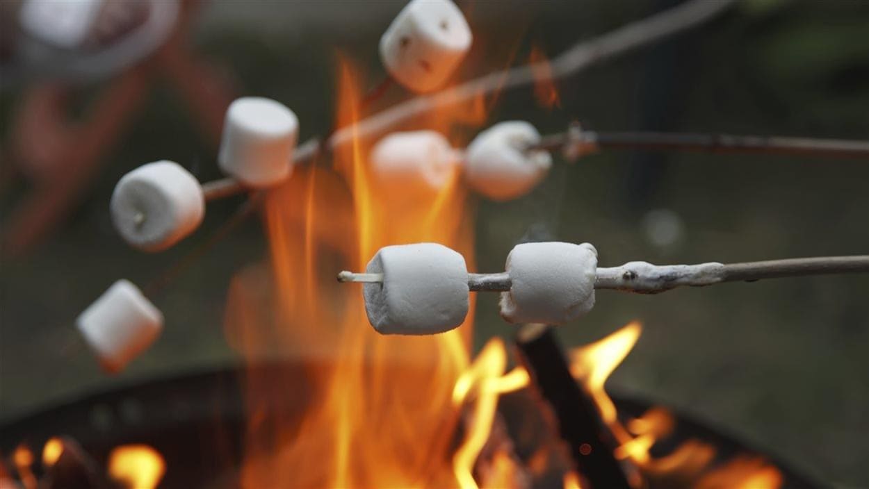Des guimauves grillant autour d'un feu de camp.