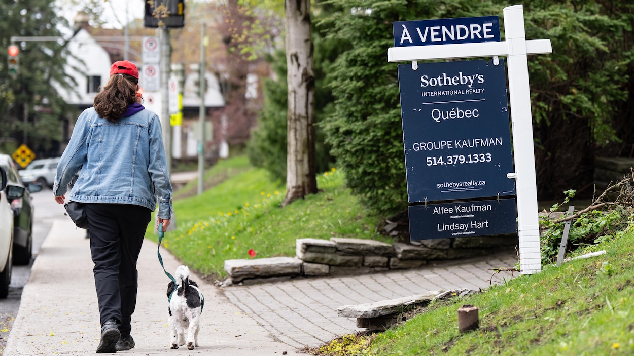 Accès à la propriété : vraies solutions ou mirages électoraux?