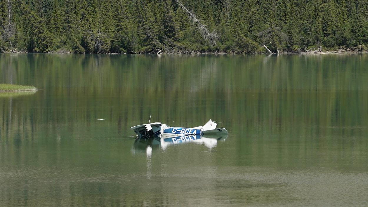 La carcasse d'un avion gît dans peu d'eau, près d'une forêt.