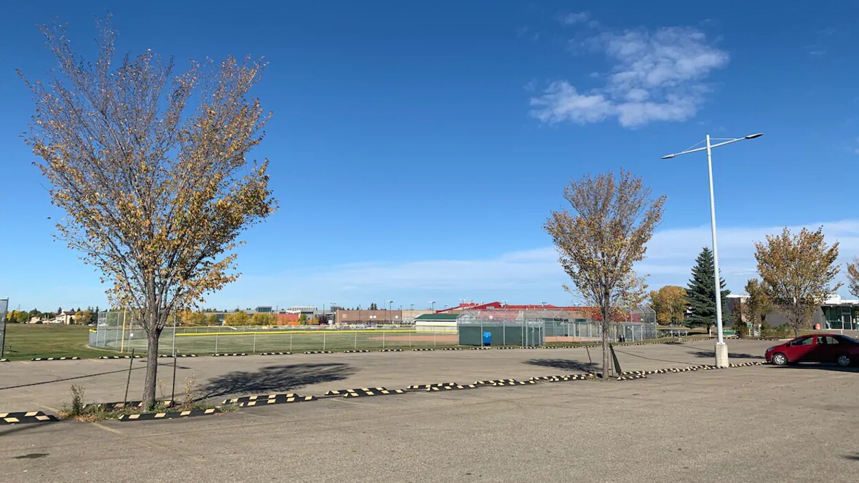 Des arbres bordent le stationnement d'un parc.