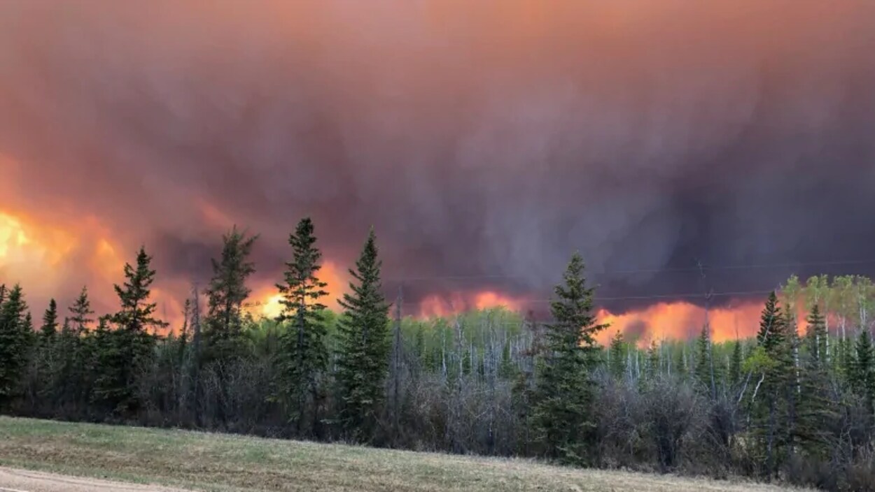 Un feu consume une forêt, dégageant une grande quantité de fumée noire.