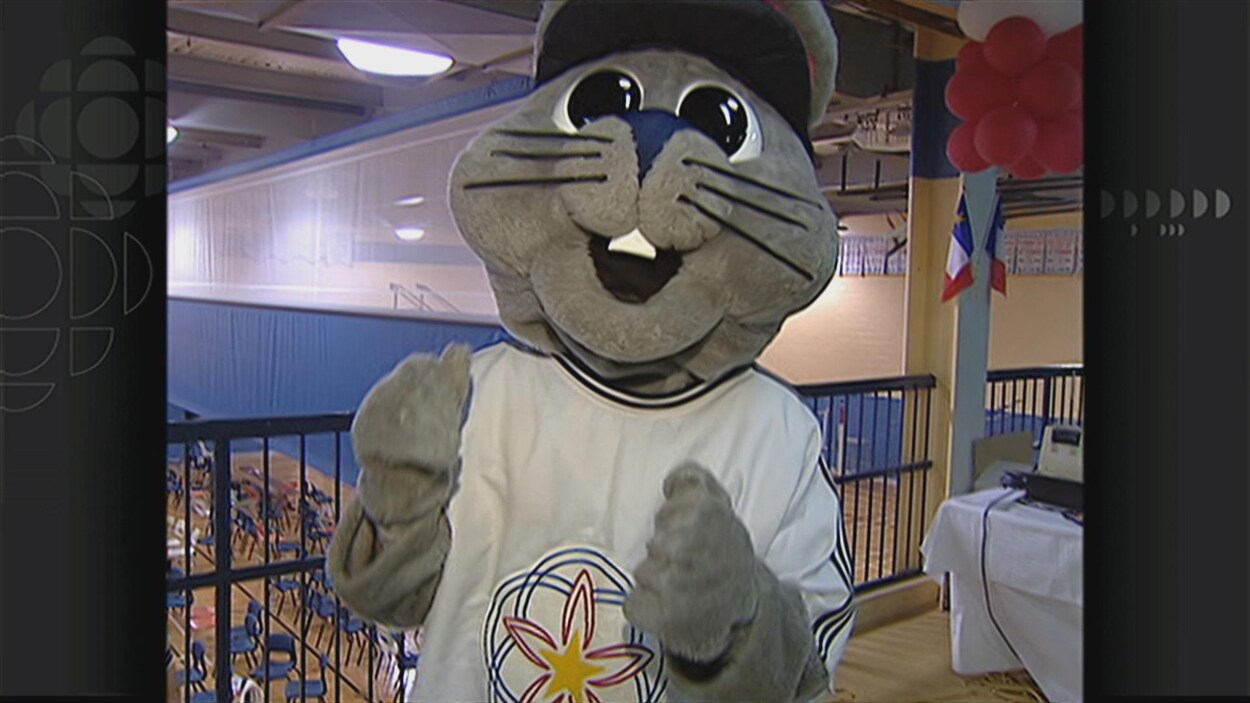 Acajoux, un lapin, dans un gymnase.