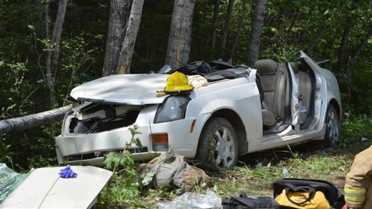 Une petite voiture est gravement endommagée. La voiture est collée contre plusieurs arbres, eux aussi endommagés.
