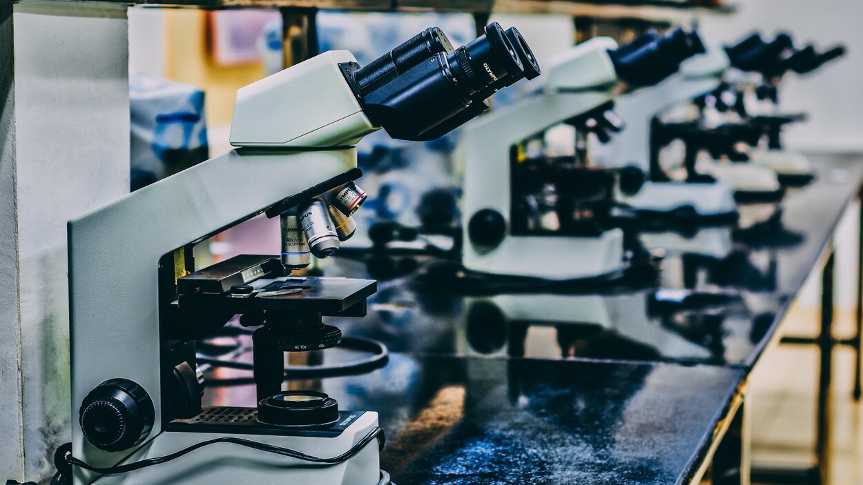 Des outils de laboratoire.
