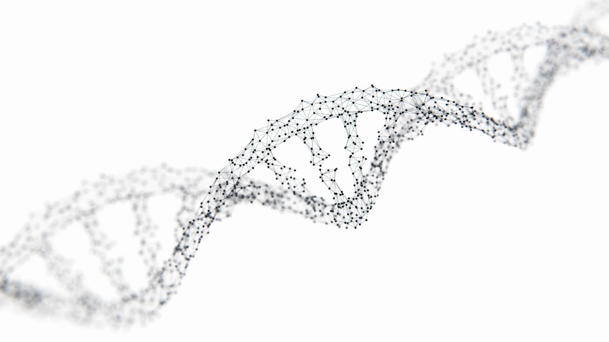 Un modèle de la structure à double-hélice de l'ADN humain.