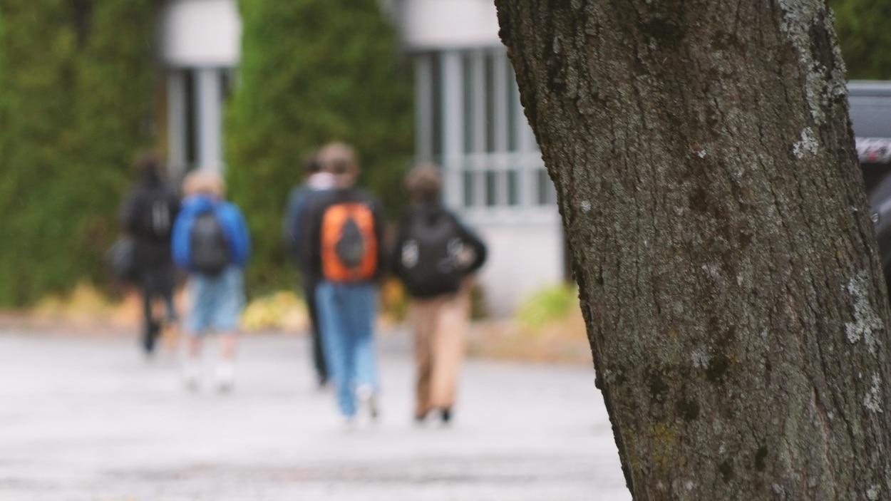 Plus de jeunes contrevenants au Bas-Saint-Laurent