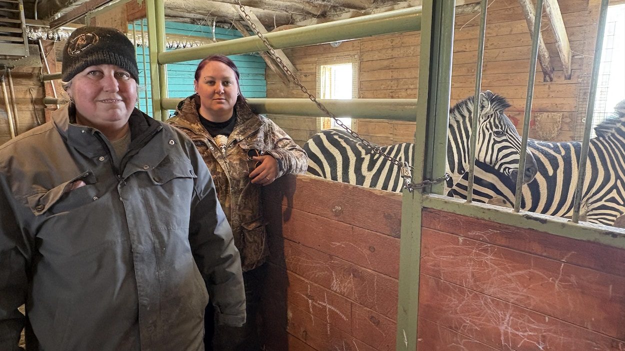 Avenir incertain pour le zoo Domaine des 3 vents de Val-d’Or