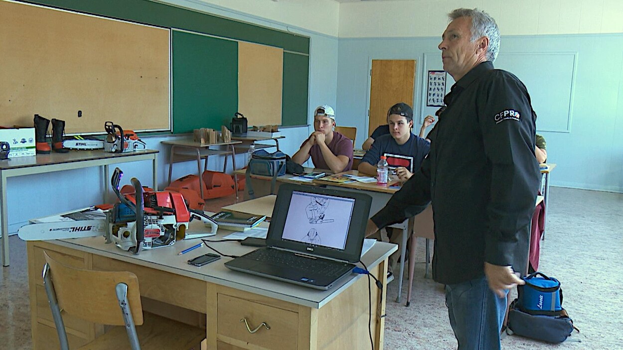 Six jeunes suivent une formation en abattage manuel et débardage forestier.