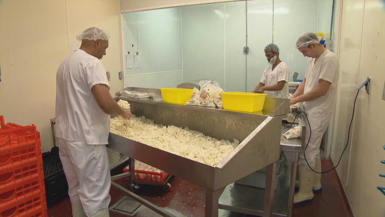 Des employés produisent et emballent du fromage dans une salle.