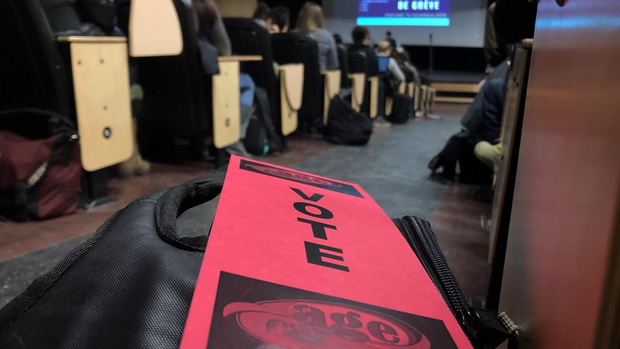 Des étudiants sont assis dans un amphithéâtre avec des cartons de vote.