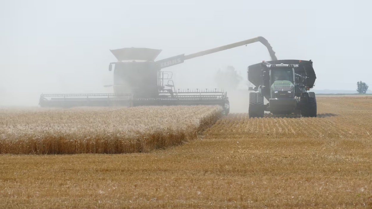 La pluie et le prix du gazole causent bien des soucis aux agriculteurs des Prairies