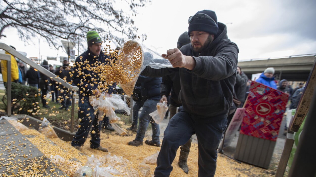 Un agriculteur est en train de jeter un sac de maïs devant le bureau de Justin Trudeau. 