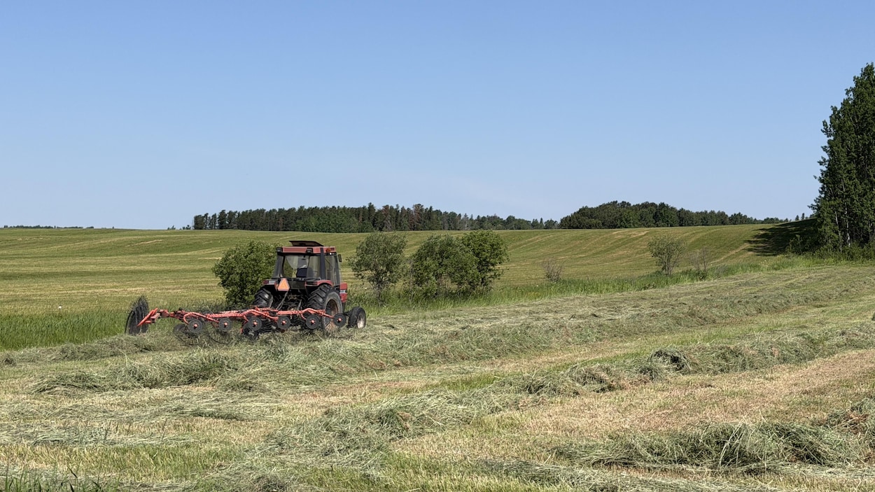 Le temps sec inquiète les agriculteurs de l’Abitibi-Témiscamingue